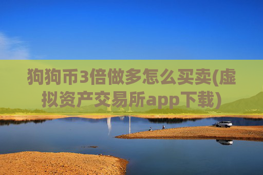 狗狗币3倍做多怎么买卖(虚拟资产交易所app下载)
