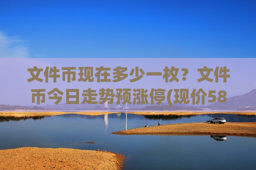 文件币现在多少一枚？文件币今日走势预涨停(现价58.8595元)