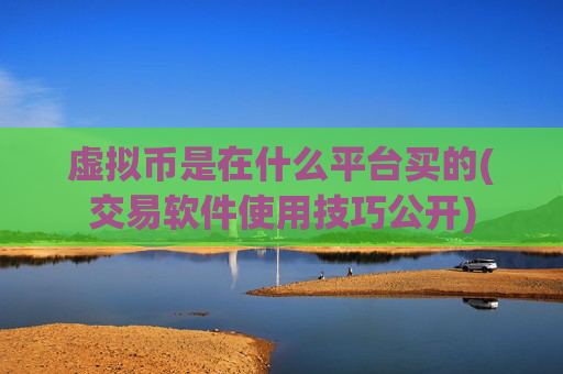 虚拟币是在什么平台买的(交易软件使用技巧公开)