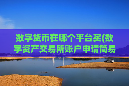 数字货币在哪个平台买(数字资产交易所账户申请简易)