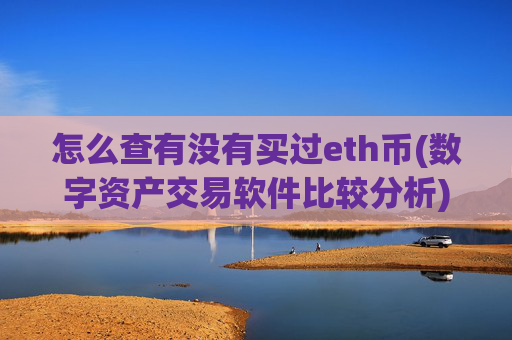 怎么查有没有买过eth币(数字资产交易软件比较分析)