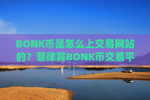 BONK币是怎么上交易网站的？菲律宾BONK币交易平台app