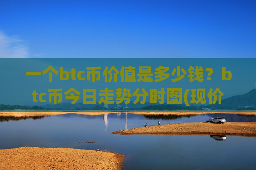 一个btc币价值是多少钱？btc币今日走势分时图(现价739903.68元)