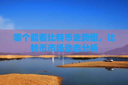 哪个能看比特币走势图,比特币市场动态分析