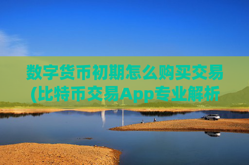 数字货币初期怎么购买交易(比特币交易App专业解析)