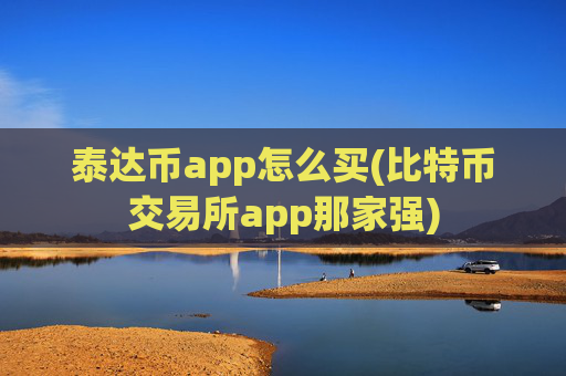 泰达币app怎么买(比特币交易所app那家强)