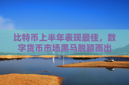 比特币上半年表现最佳，数字货币市场黑马脱颖而出