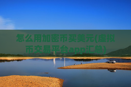 怎么用加密币买美元(虚拟币交易平台app汇总)