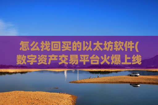 怎么找回买的以太坊软件(数字资产交易平台火爆上线)