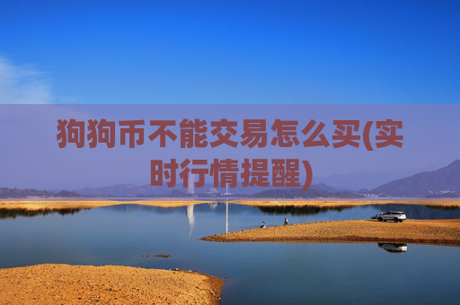 狗狗币不能交易怎么买(实时行情提醒)