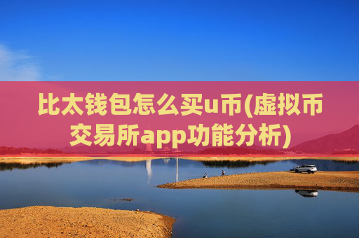 比太钱包怎么买u币(虚拟币交易所app功能分析)