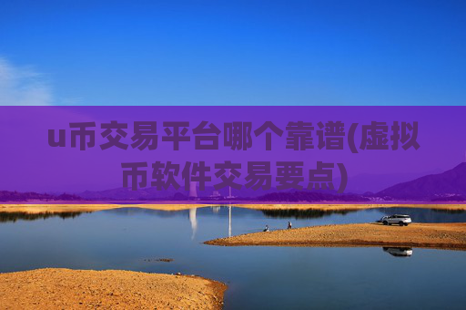 u币交易平台哪个靠谱(虚拟币软件交易要点)