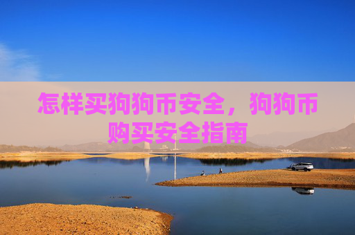怎样买狗狗币安全，狗狗币购买安全指南