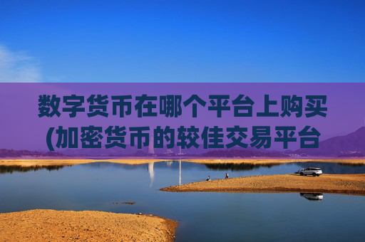 数字货币在哪个平台上购买(加密货币的较佳交易平台)