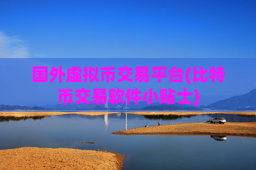 国外虚拟币交易平台(比特币交易软件小贴士)