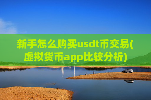新手怎么购买usdt币交易(虚拟货币app比较分析)