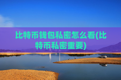 比特币钱包私密怎么看(比特币私密重要)