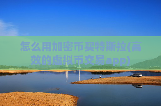 怎么用加密币买特斯拉(高效的虚拟币交易app)