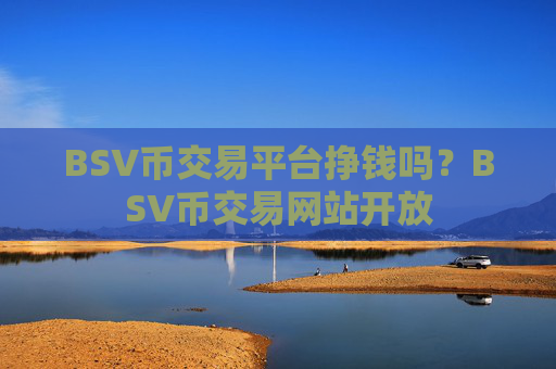 BSV币交易平台挣钱吗？BSV币交易网站开放