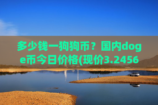 多少钱一狗狗币？国内doge币今日价格(现价3.2456元)