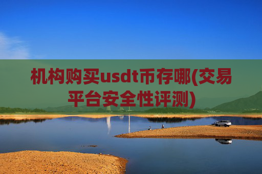 机构购买usdt币存哪(交易平台安全性评测)