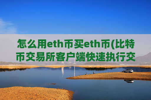 怎么用eth币买eth币(比特币交易所客户端快速执行交易)