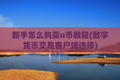 新手怎么购买u币教程(数字货币交易客户端选择)