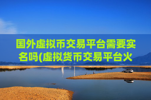 国外虚拟币交易平台需要实名吗(虚拟货币交易平台火热)