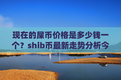 现在的屎币价格是多少钱一个？shib币最新走势分析今日(现价0.00023688元)