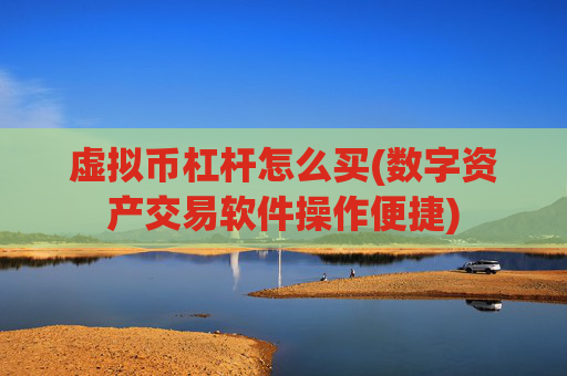 虚拟币杠杆怎么买(数字资产交易软件操作便捷)