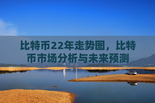 比特币22年走势图，比特币市场分析与未来预测
