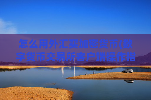 怎么用外汇买加密货币(数字货币交易所客户端操作指南)