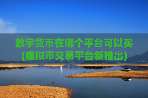 数字货币在哪个平台可以买(虚拟币交易平台新推出)