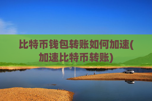 比特币钱包转账如何加速(加速比特币转账)