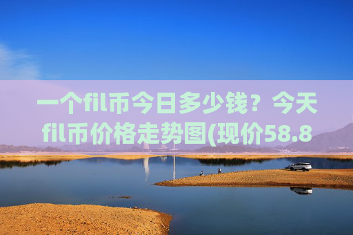 一个fil币今日多少钱？今天fil币价格走势图(现价58.8555元)