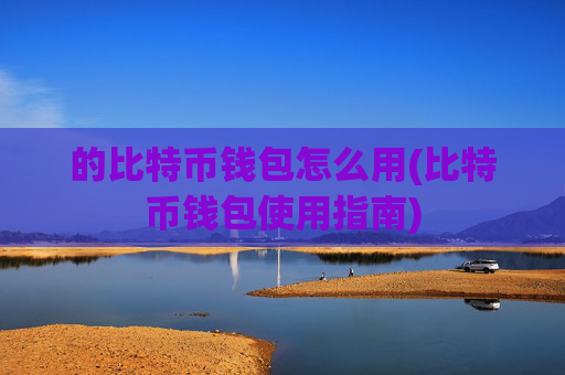 的比特币钱包怎么用(比特币钱包使用指南)