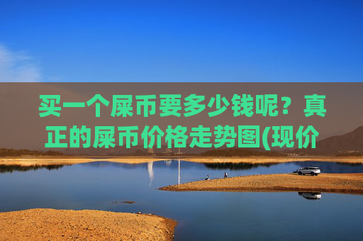 买一个屎币要多少钱呢？真正的屎币价格走势图(现价0.00023152元)