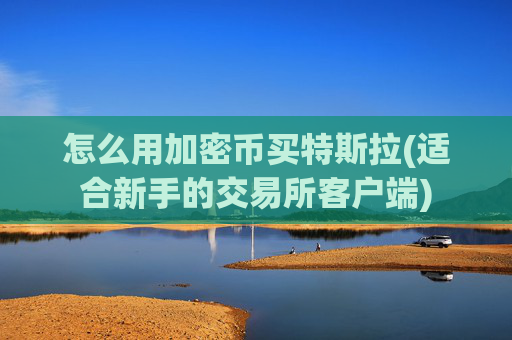 怎么用加密币买特斯拉(适合新手的交易所客户端)