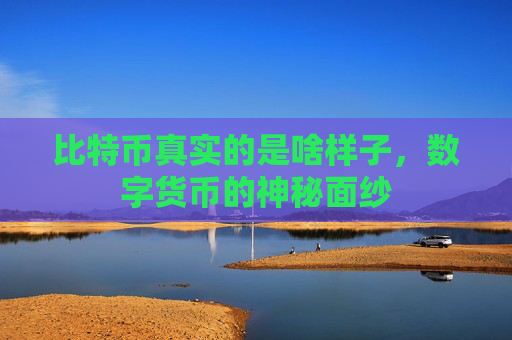 比特币真实的是啥样子,数字货币的神秘面纱