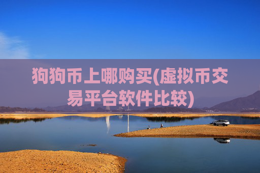 狗狗币上哪购买(虚拟币交易平台软件比较)