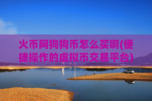 火币网狗狗币怎么买啊(便捷操作的虚拟币交易平台)