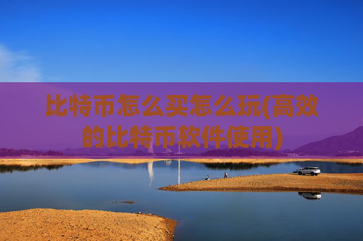 比特币怎么买怎么玩(高效的比特币软件使用)