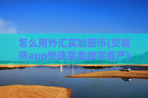 怎么用外汇买加密币(交易所app快速买卖数字资产)