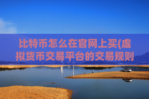 比特币怎么在官网上买(虚拟货币交易平台的交易规则)
