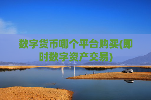 数字货币哪个平台购买(即时数字资产交易)