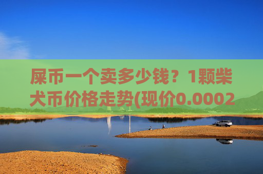 屎币一个卖多少钱？1颗柴犬币价格走势(现价0.00023105元)