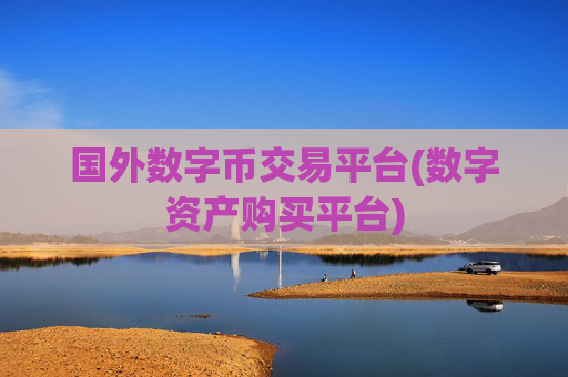 国外数字币交易平台(数字资产购买平台)