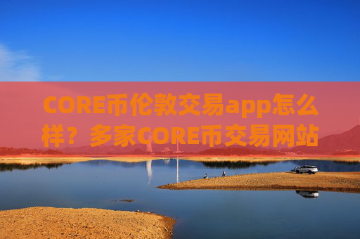 CORE币伦敦交易app怎么样？多家CORE币交易网站