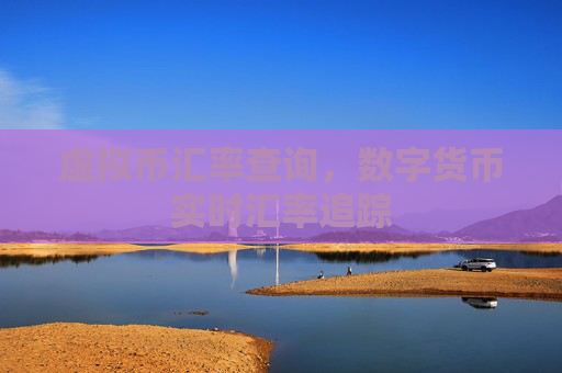 虚拟币汇率查询，数字货币实时汇率追踪