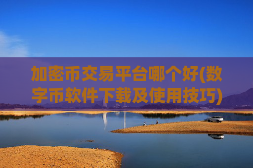 加密币交易平台哪个好(数字币软件下载及使用技巧)
